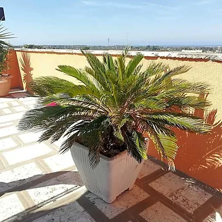 Mirage Bed & Breakfast 4*